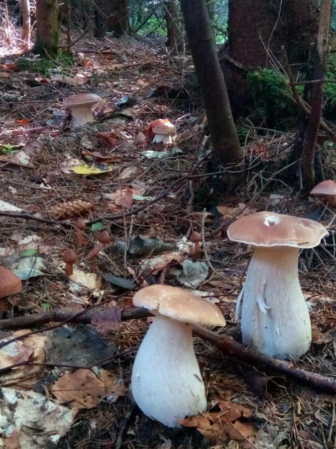 Готель Захід сонця Славське Екстер'єр фото